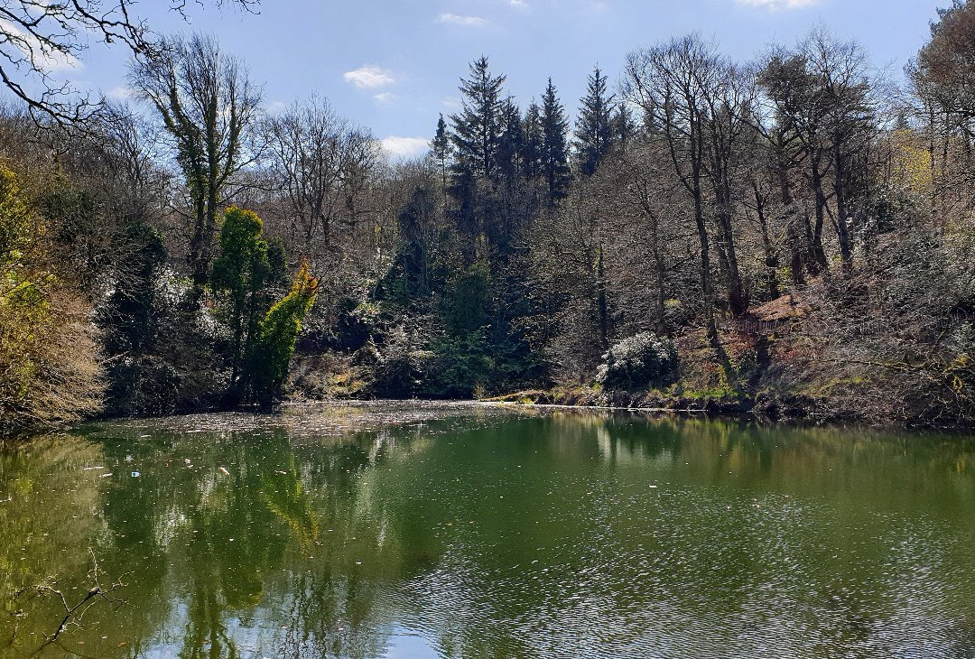 Gleniffer Braes Country Park景点图片