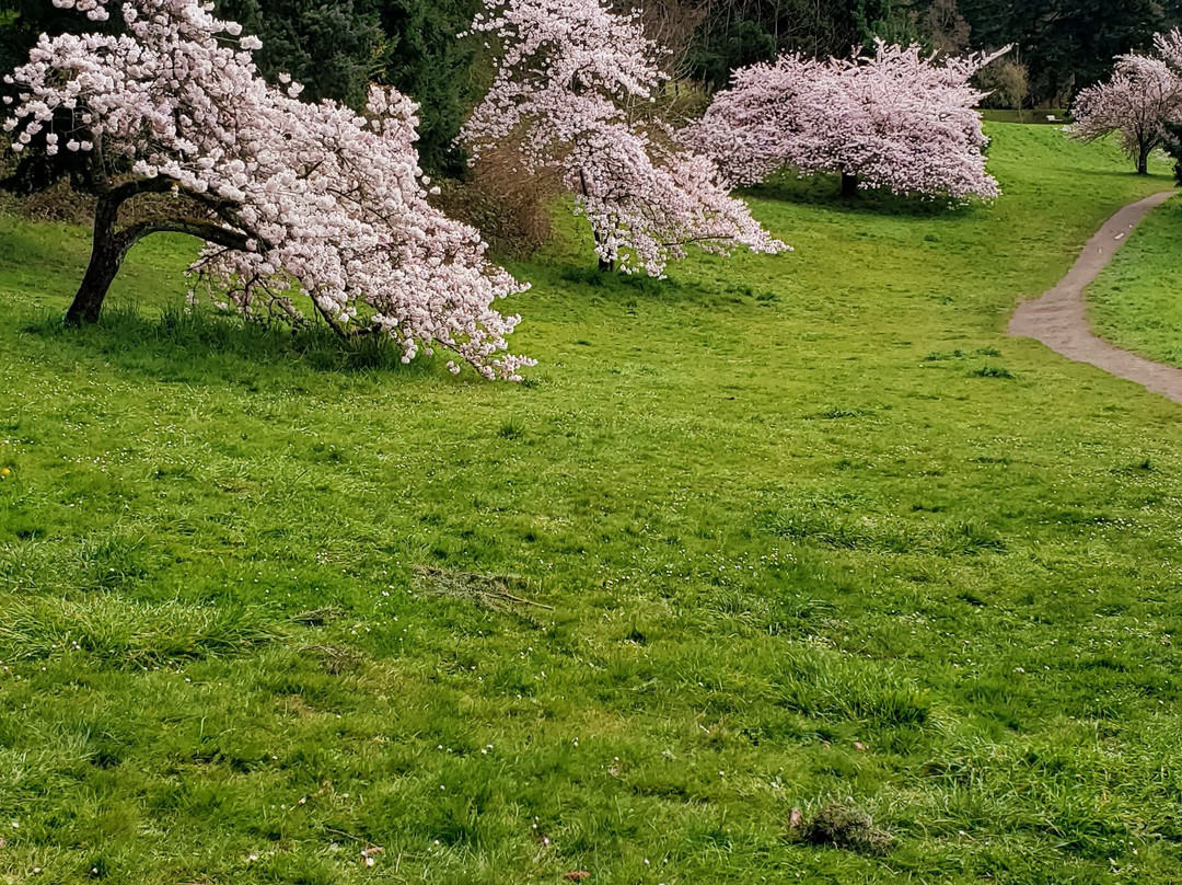 Mount Tabor Park景点图片