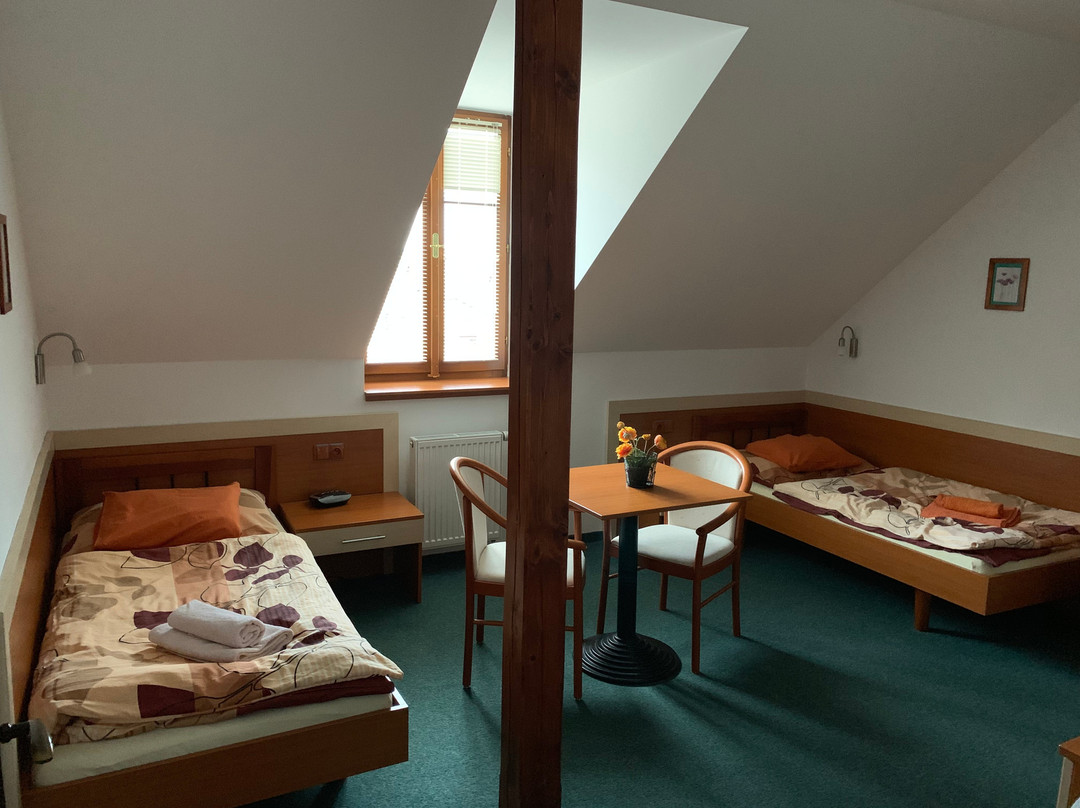 Hotel u Kapra主图