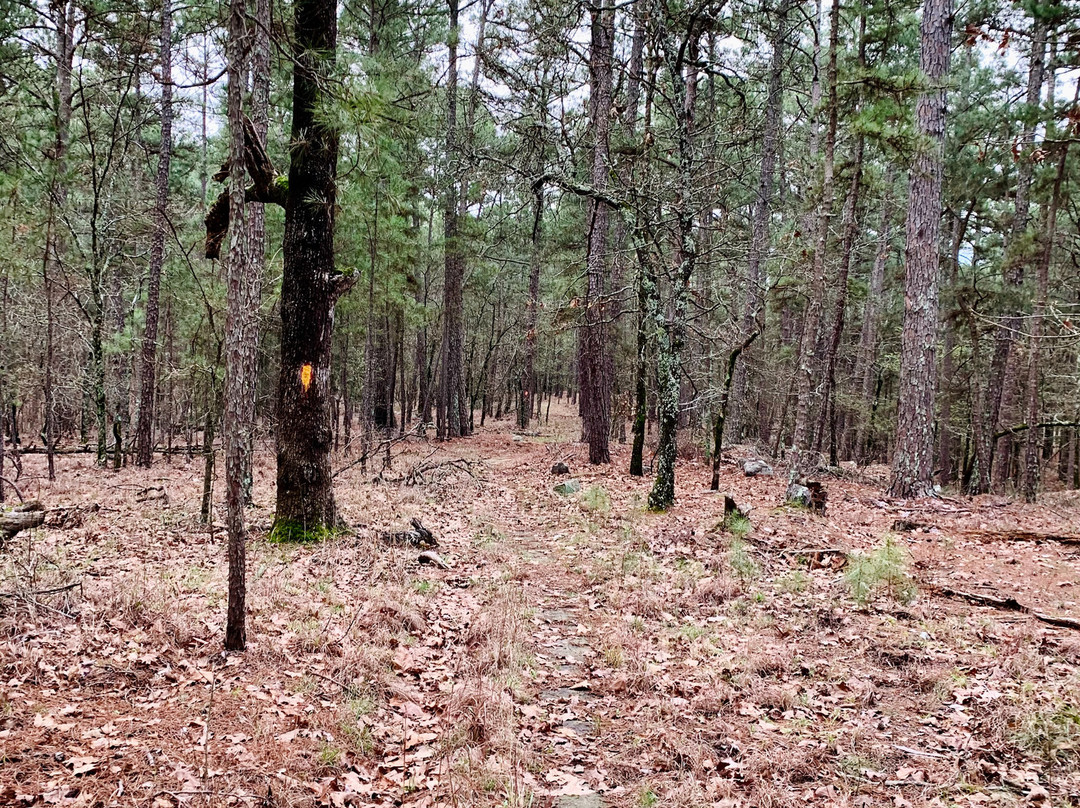 McGee Creek State Park景点图片