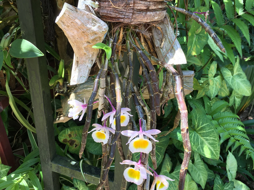 Zen Cafe Lakeside主图