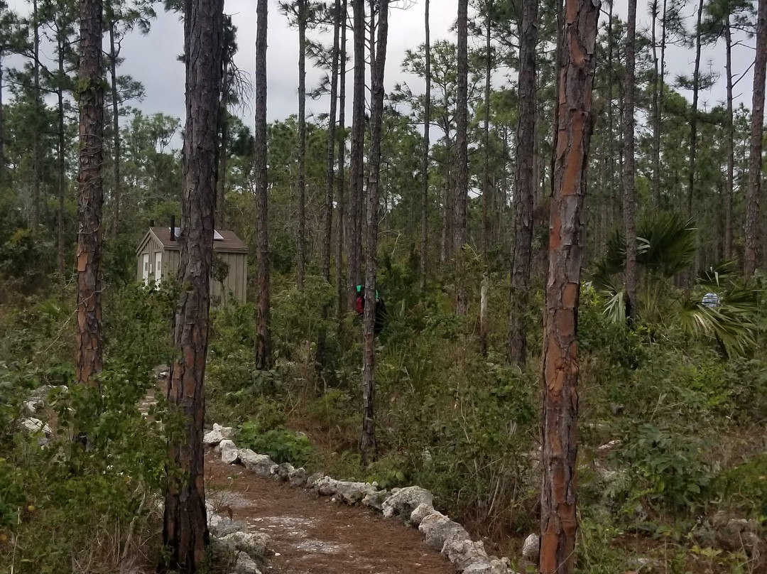 Blue Holes National Park-Andros必去景点