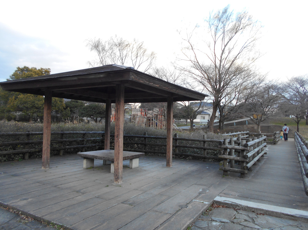 Saijonuma Park-莲田市必去景点