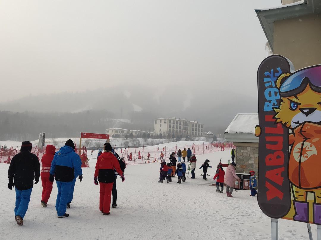 亚布力阳光度假村主图