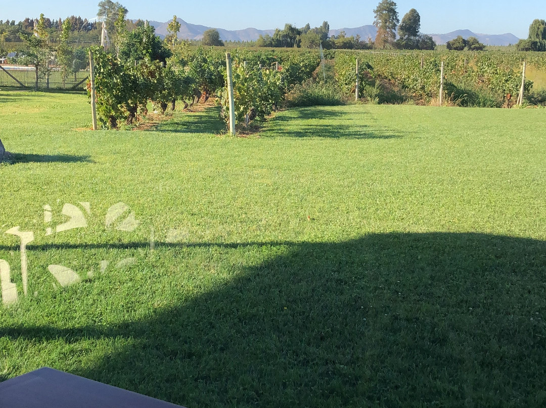 Hotel TerraVina主图