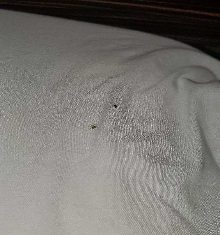 Sleep Inn Richmond North主图