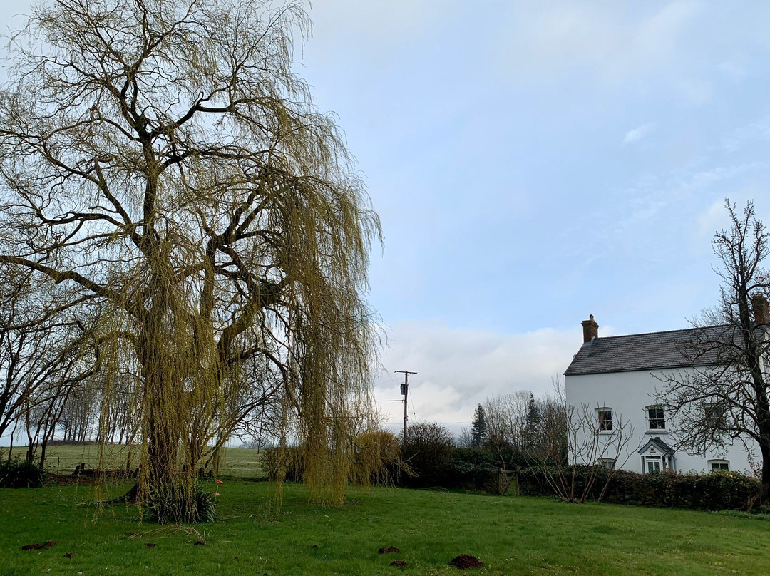 Llansabbath Country Farmhouse B&B主图
