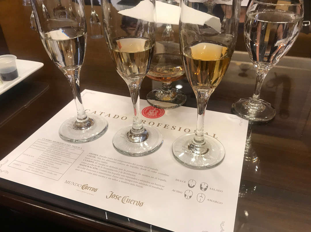 Jose Cuervo Forum-特基拉必去景点