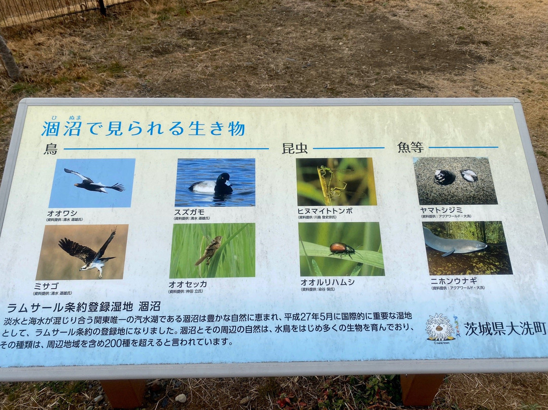 Hinuma Nature Park景点图片