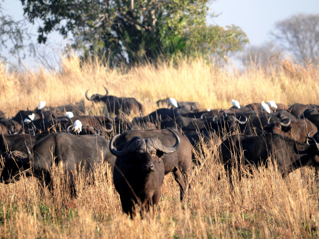 Victoria Falls Adventures