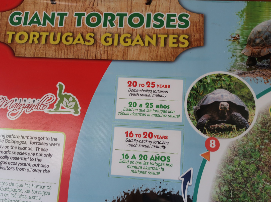 Rancho El Manzanillo-阿约拉港必去景点