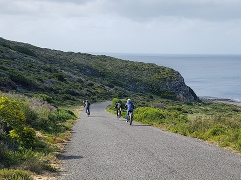 E-lectric Ventures-开普敦必去景点