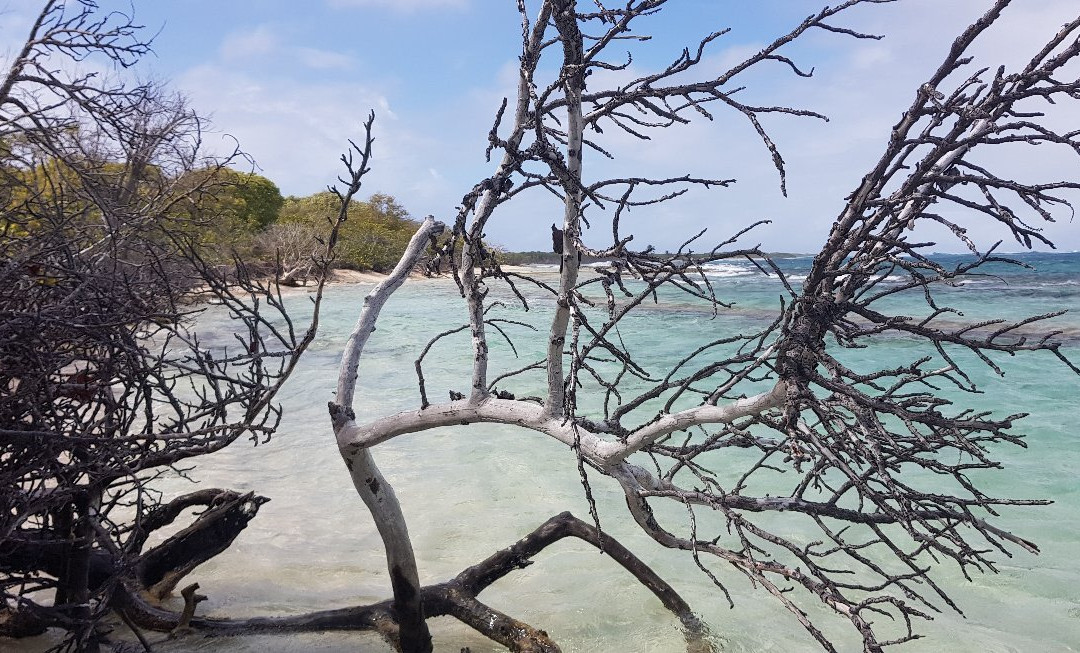 Miami Vice-Saint Francois必去景点