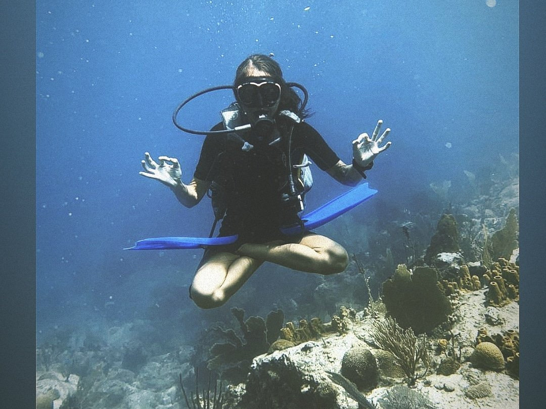 GwadActivites-Le Gosier必去景点