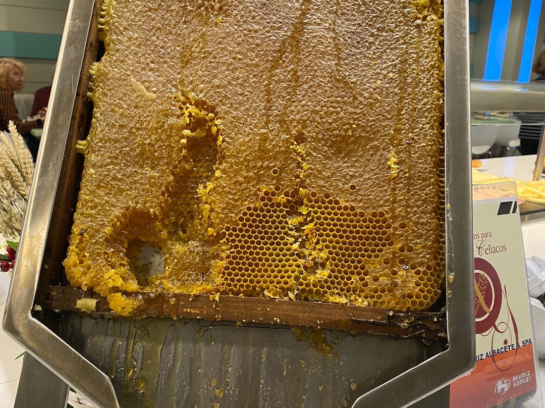 Hotel Palacio Albacete SPA-阿尔瓦塞特必去景点