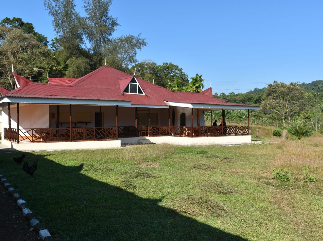 Dew Dale Resorts, Baratang Island主图