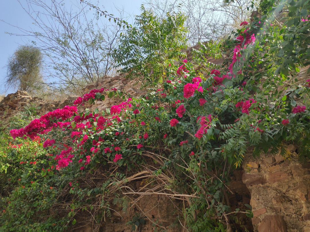 Blue city wonders-焦特布尔必去景点