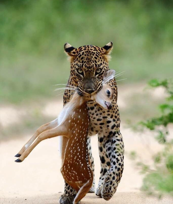 Sam Tours Hambantota-Hambantota必去景点