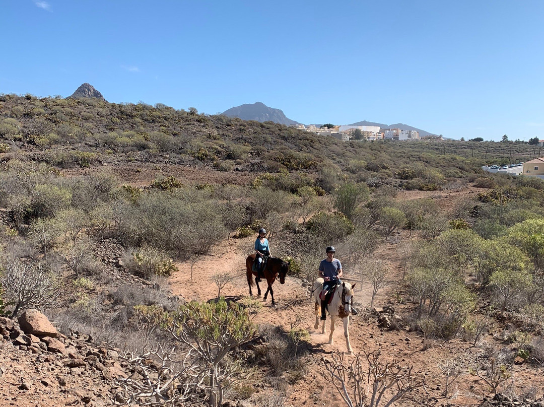 Horse Riding Tenerife-阿罗纳必去景点