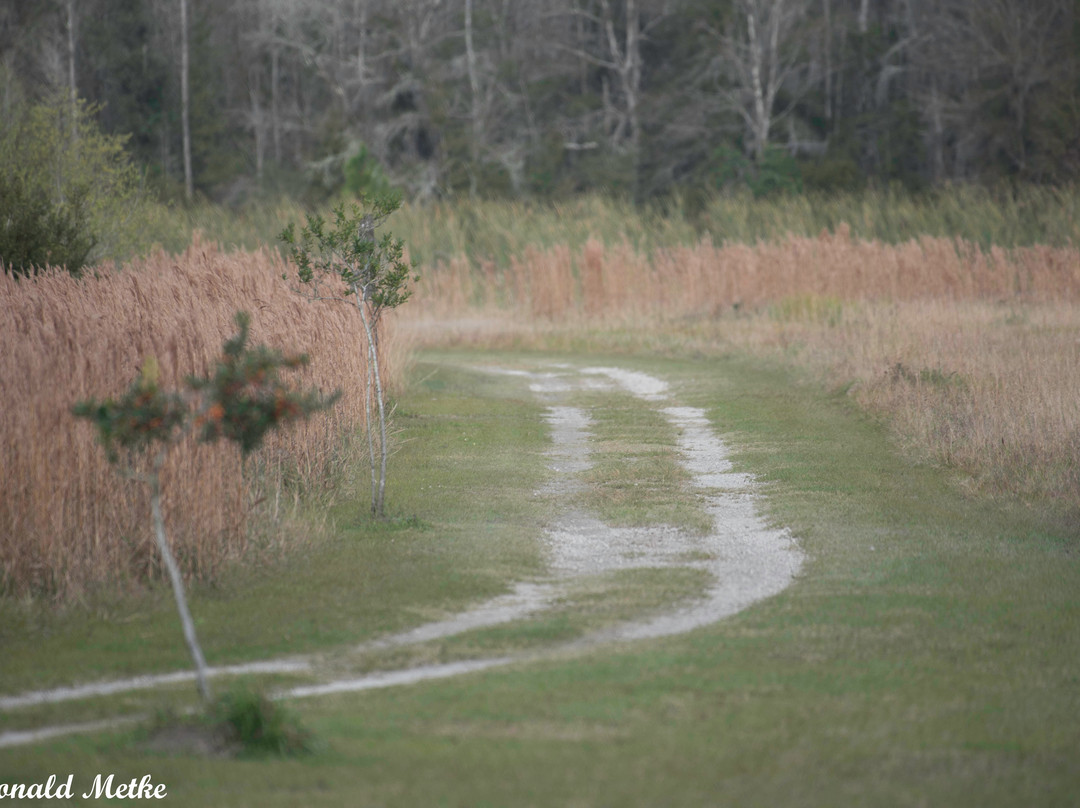 Colt Creek State Park-莱克兰必去景点