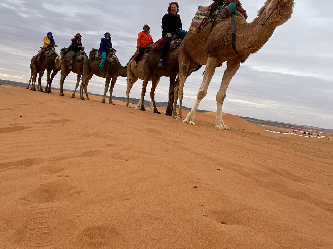 Marruecos Sahara Tour景点图片