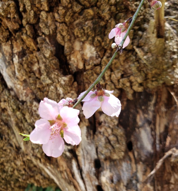 Parque Ecoturistico Cola De Caballo-Santiago必去景点