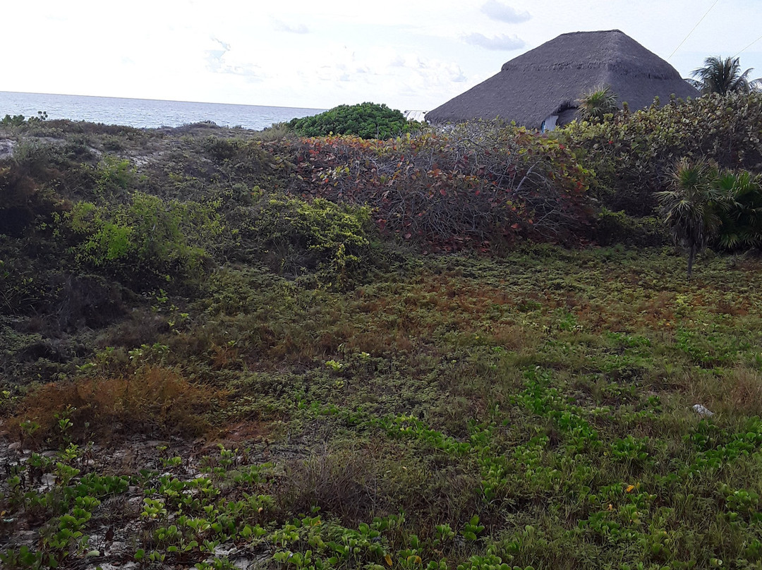 Bella Isla Resort主图