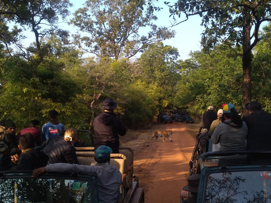 Kanha National Park旅游攻略图片