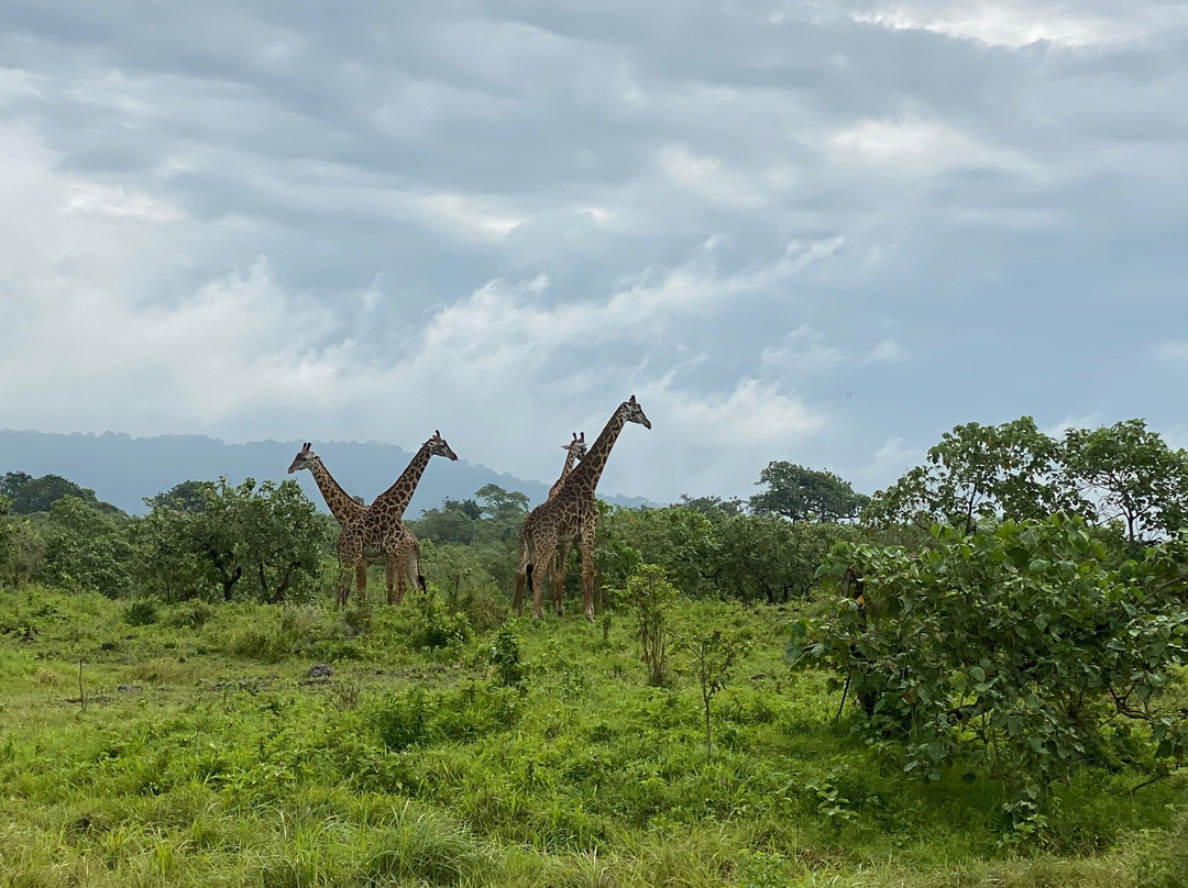 Ngurdoto Crater-阿鲁沙必去景点