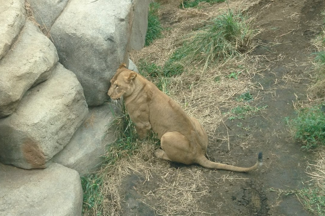 冲绳儿童王国-冲绳市必去景点