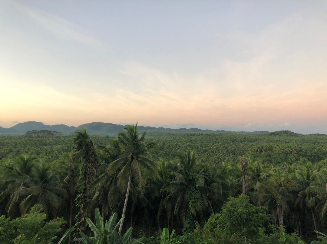 Coconut Trees View Deck-Dapa必去景点