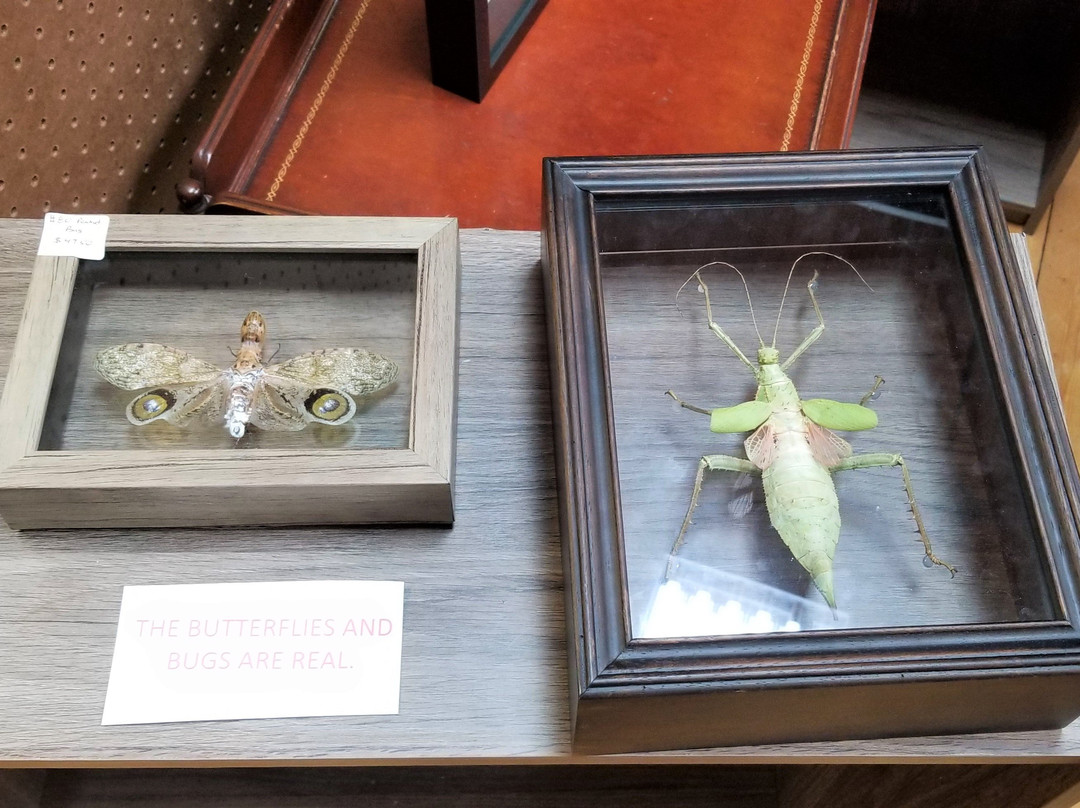 Abingdon Antique Barn-Abingdon必去景点