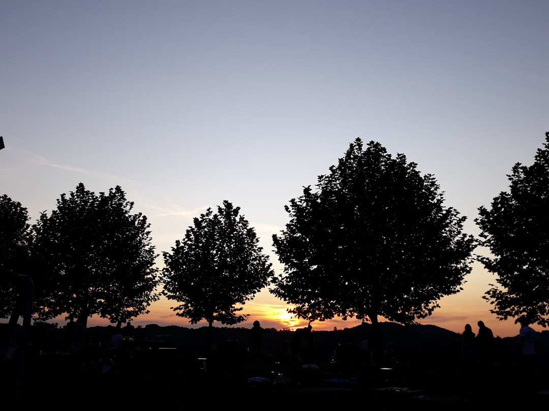 Adega Dom Camilo-Nova Padua必去景点