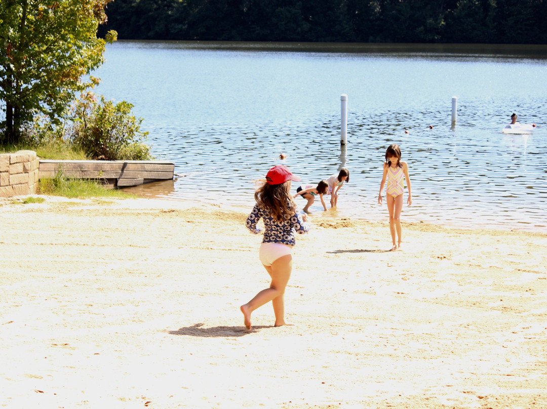 Sandy Creek Park-阿森斯必去景点