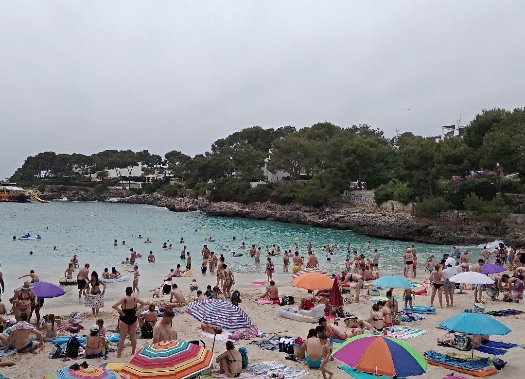 Plage Cala D'or景点图片