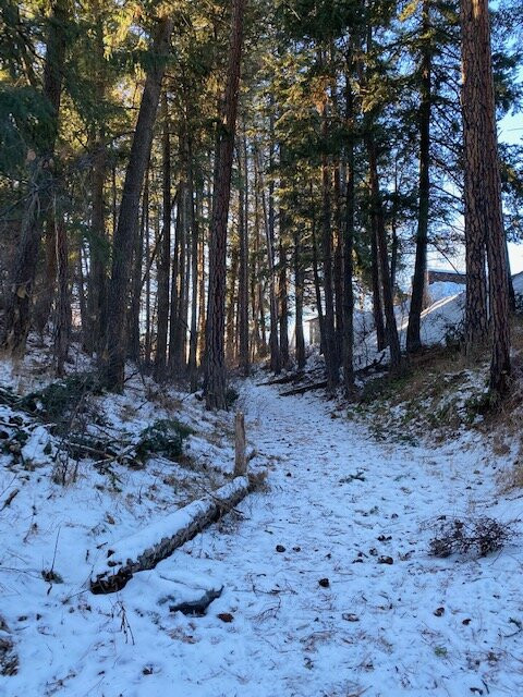 Buffalo Head Park-卡利斯佩尔必去景点