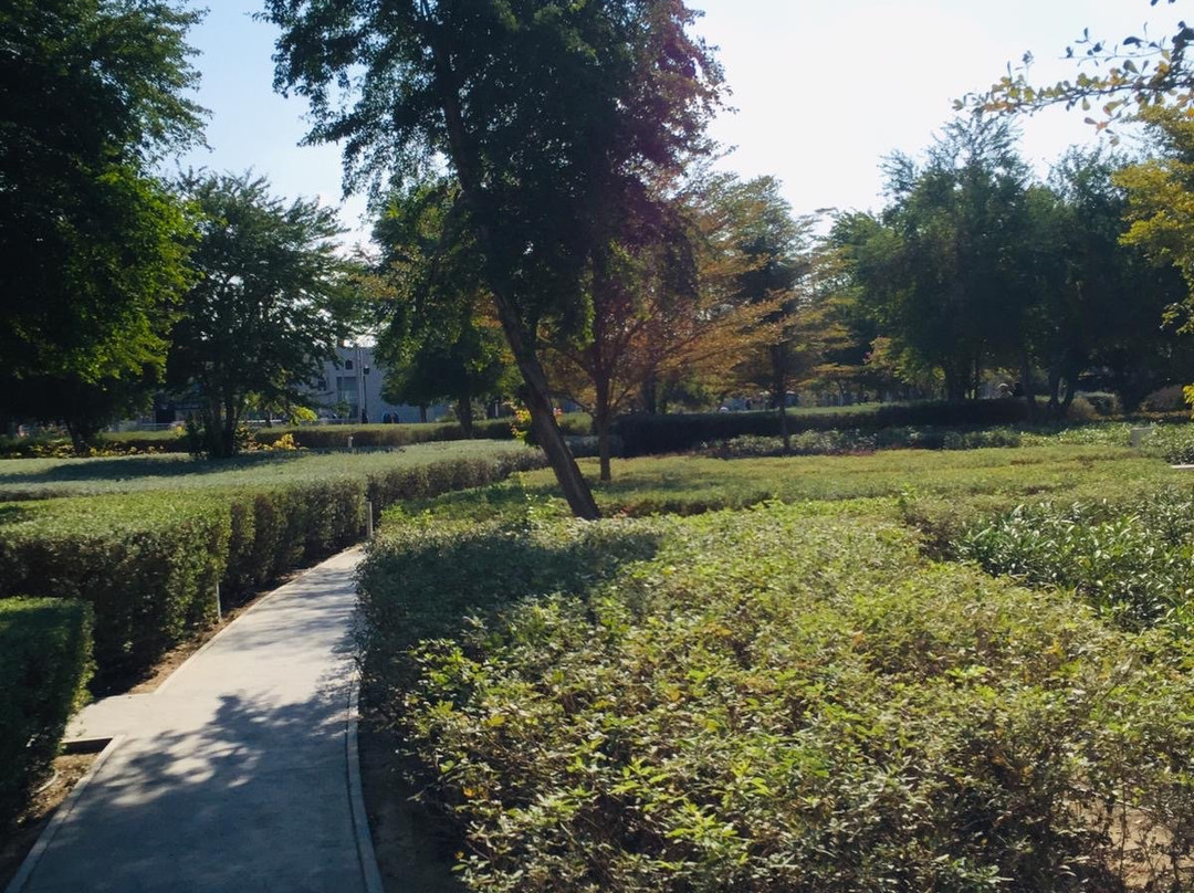 Sheikh Jaber Al Ahmad Cultural Center-Kuwait City必去景点