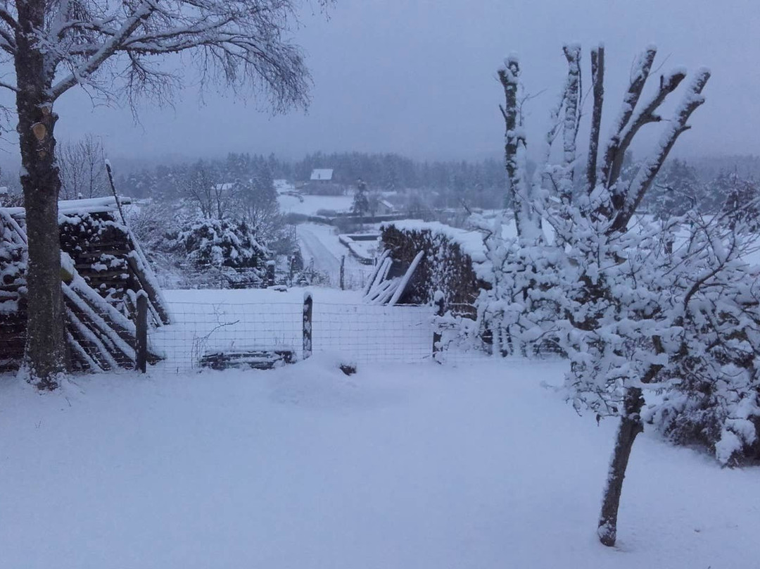 Aux Genets de Joséphine主图