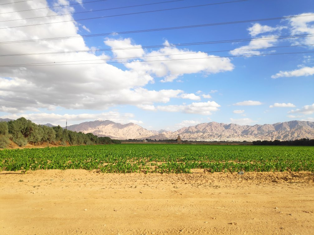 The International Birding & Research Centre-埃拉特必去景点