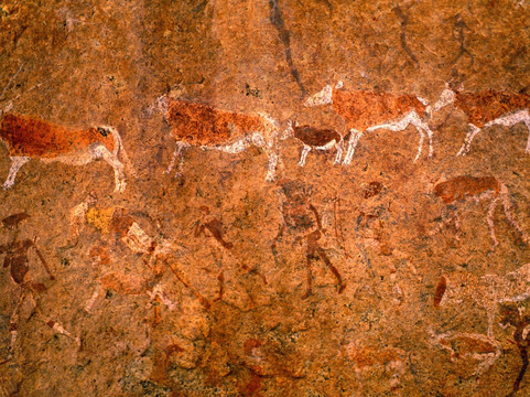 Five Stars Tours & Safaris-温德和克必去景点