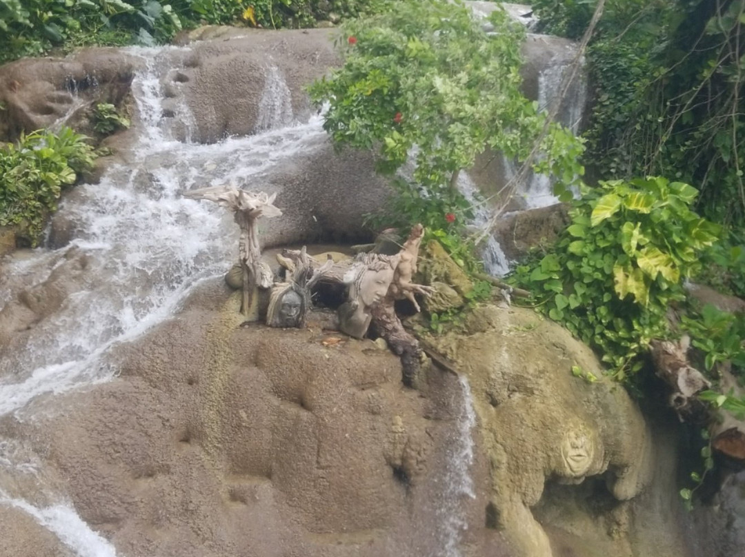 Little Dunn's River Falls景点图片