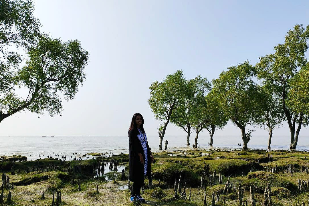 Guliakhali Sea Beach景点图片