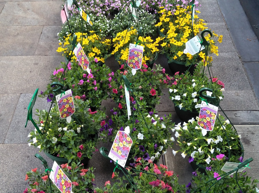 Loch Village-Loch必去景点