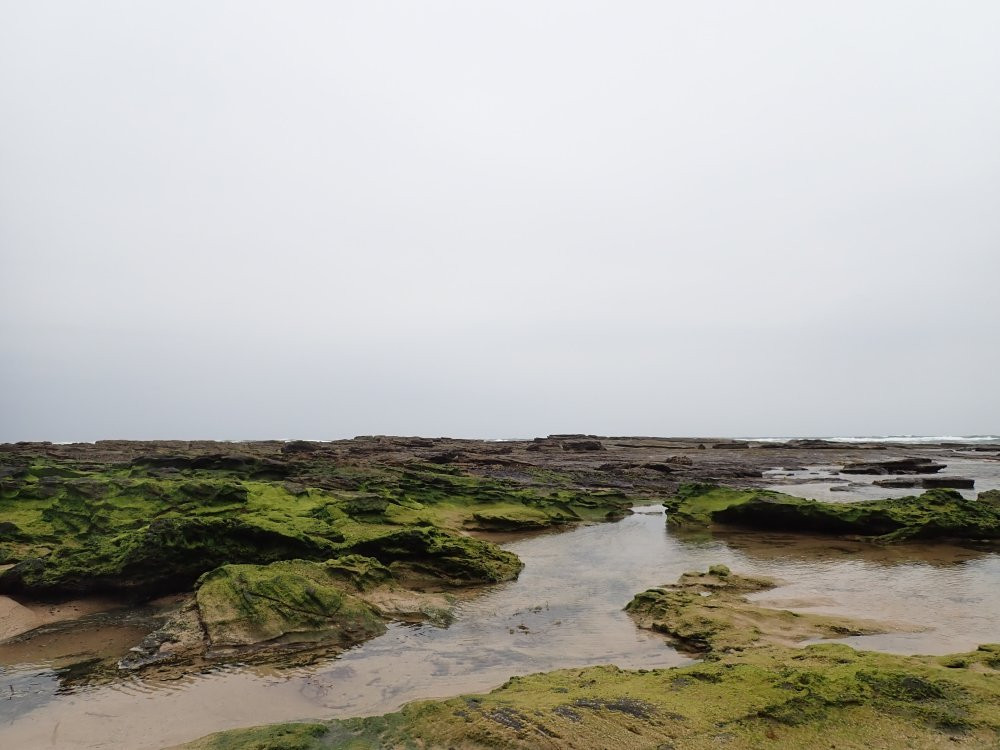 Toowoon Bay Beach-Toowoon Bay必去景点