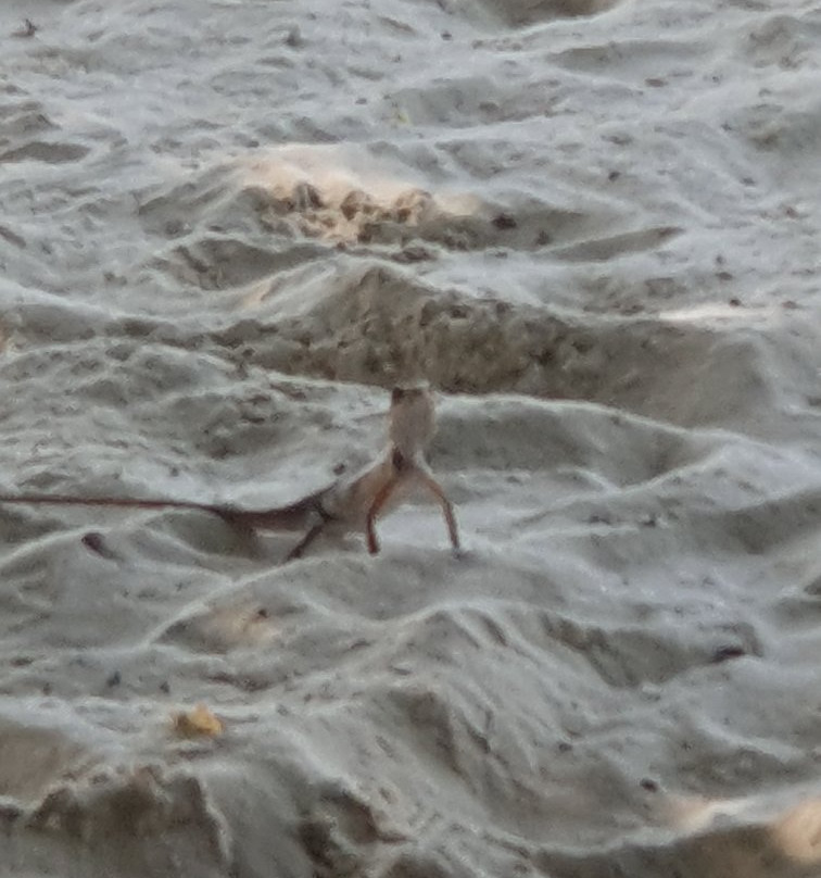 Dive Ocean-Biyaadhoo Island必去景点