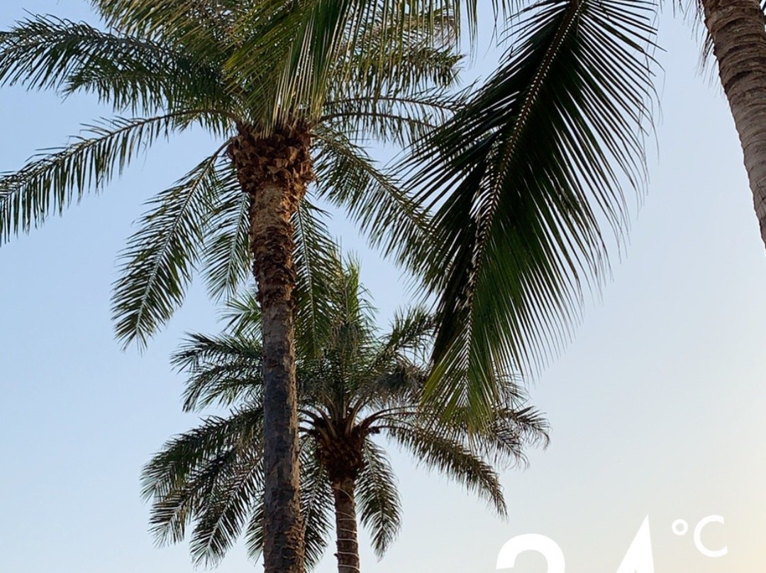 Sunbeach Hotel & Resort主图