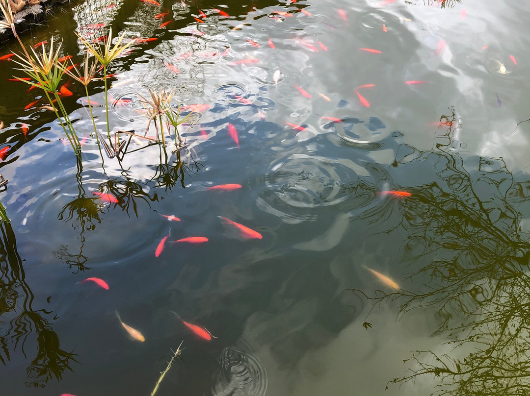 Ninemia Stay& Play主图