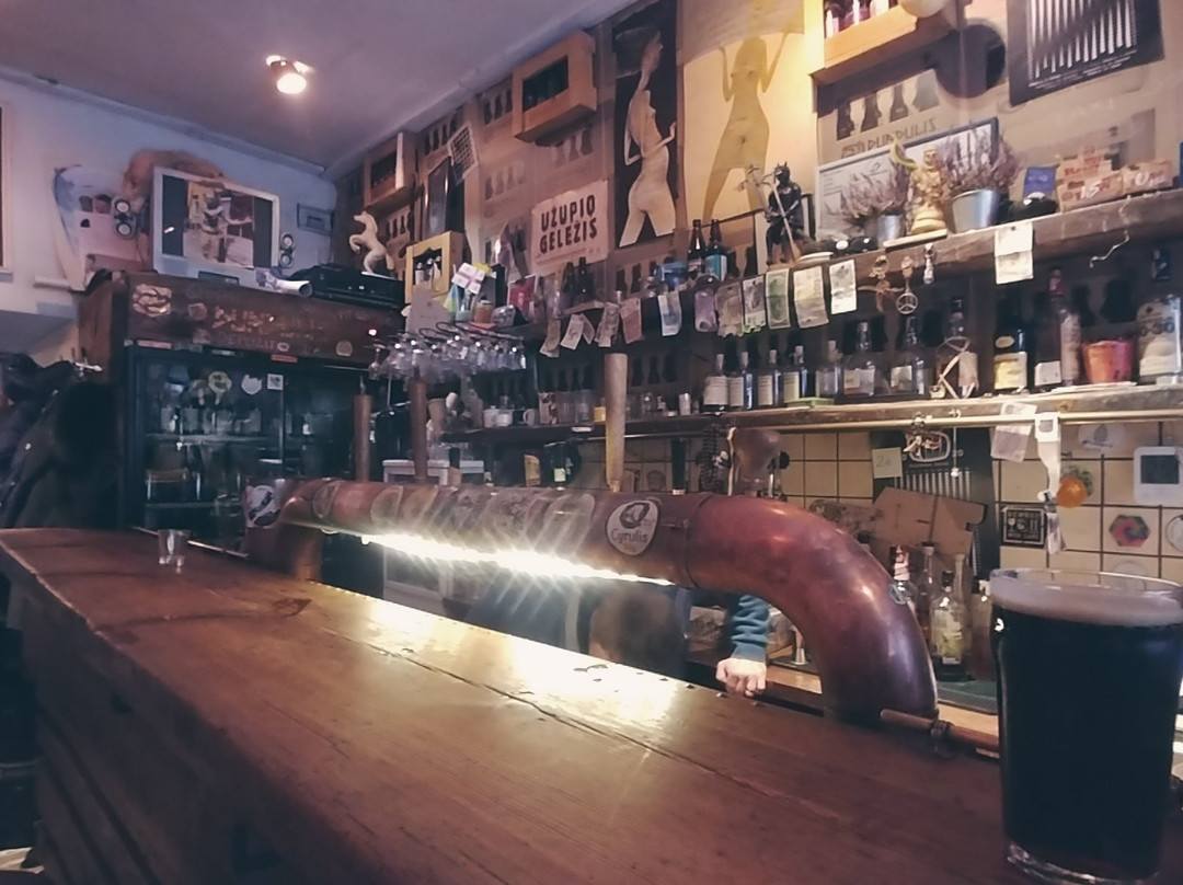 Spunka-维尔纽斯必去景点