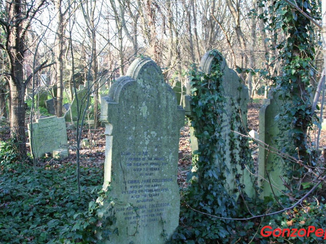 汉姆东自然保护区-伦敦必去景点