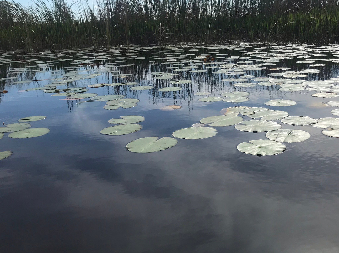 Savannas Preserve State Park-圣露西港必去景点